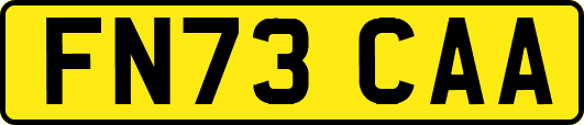 FN73CAA