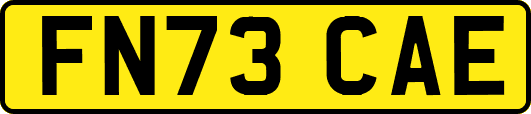 FN73CAE