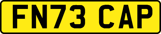 FN73CAP