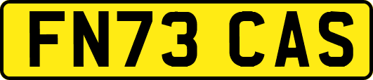 FN73CAS