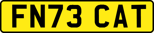 FN73CAT