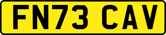 FN73CAV
