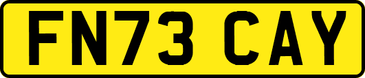 FN73CAY