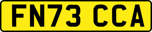 FN73CCA
