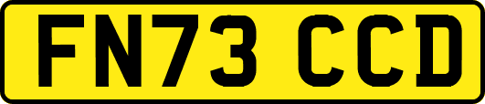 FN73CCD