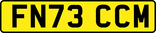 FN73CCM