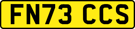 FN73CCS