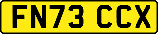 FN73CCX