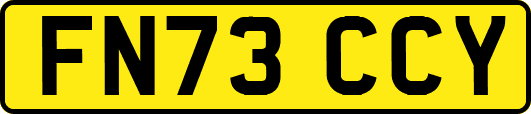 FN73CCY
