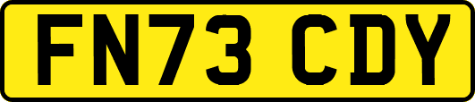 FN73CDY