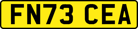 FN73CEA