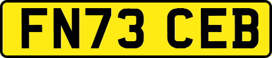 FN73CEB