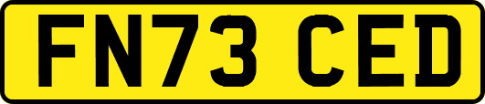 FN73CED