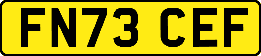 FN73CEF