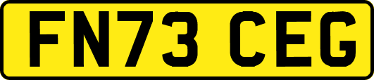 FN73CEG