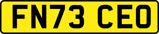 FN73CEO