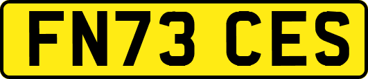 FN73CES