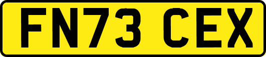 FN73CEX