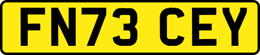 FN73CEY
