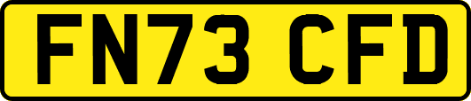 FN73CFD