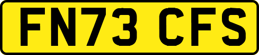 FN73CFS