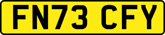 FN73CFY