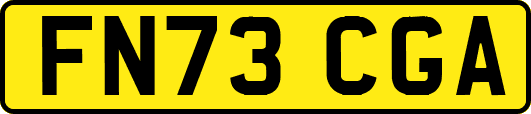 FN73CGA