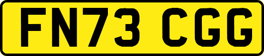 FN73CGG