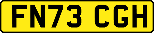 FN73CGH