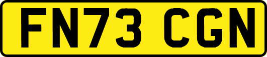 FN73CGN