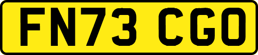 FN73CGO
