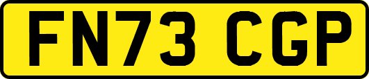FN73CGP
