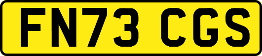 FN73CGS