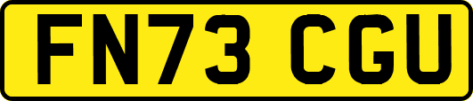 FN73CGU