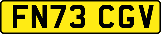 FN73CGV