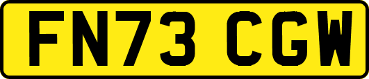 FN73CGW