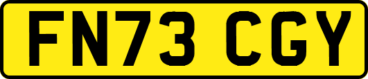 FN73CGY