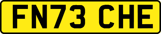 FN73CHE