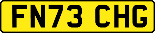 FN73CHG
