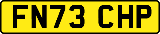FN73CHP