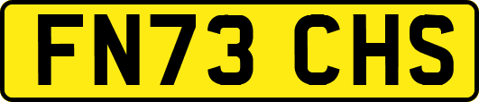 FN73CHS