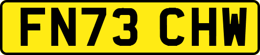 FN73CHW