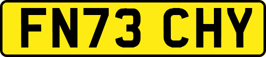 FN73CHY