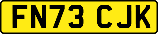FN73CJK