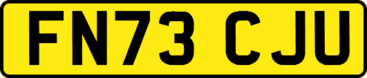 FN73CJU