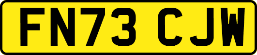 FN73CJW