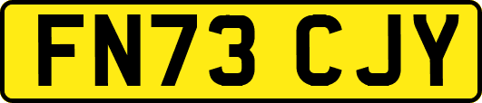 FN73CJY