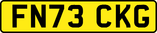 FN73CKG