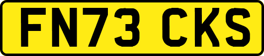 FN73CKS