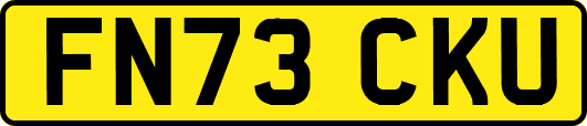 FN73CKU